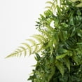 thumbnail image 3 of Vickerman 24" Artificial Green Buckler Fern and Grass Wreath., 3 of 5