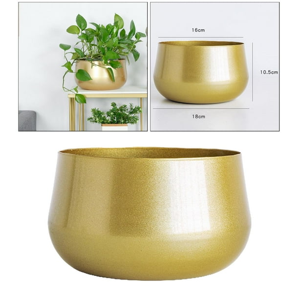 Brass Nautilus Shell, Gold Brass Shell, Interior Design, Shell Planter -   Canada