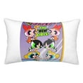 thumbnail image 1 of Fundas de almohada de Las Chicas Superpoderosas, fundas de almohada mullidas súper suaves y acogedoras con cremallera, 20 x 30 pulgadas, dormitorio, sofá, sillón, funda de almohada para todas las, 1 of 8