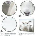thumbnail image 3 of Designart "Whie Sheeps White Minimalist painting" Animals Floater Framed Canvas Print, 3 of 7