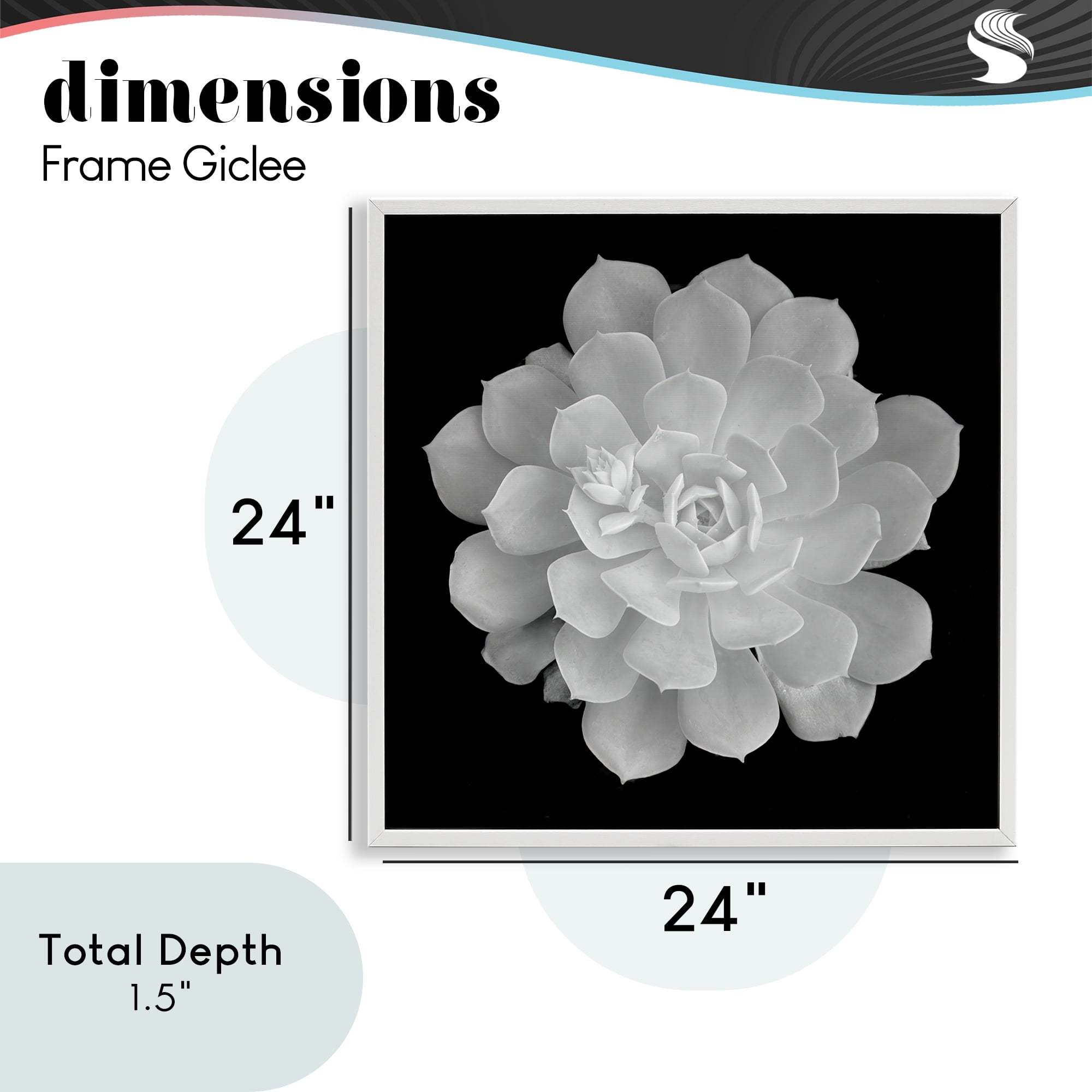 Pure White Succulent Contrast White Framed Giclee Art, design by Phillip Flowers