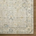 thumbnail image 4 of Hauteloom Ahmaud Living Room, Bedroom Area Rug - Traditional - High Pile - Light Gray, Beige, Gray - 2' x 2'11", 4 of 5