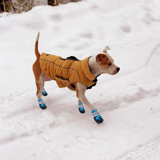 Dog top booties walmart