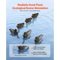 thumbnail image 6 of VEVOR Duck Decoys, Realistic Floating Duck Decoys, Weight Forward Swim, Plastic Duck Hunting Decoy Outdoor for Hunting, for Pool,Pond,and Lake,Garden Yard Decoration,Easy to Carry and Use,6-Pack, 6 of 9