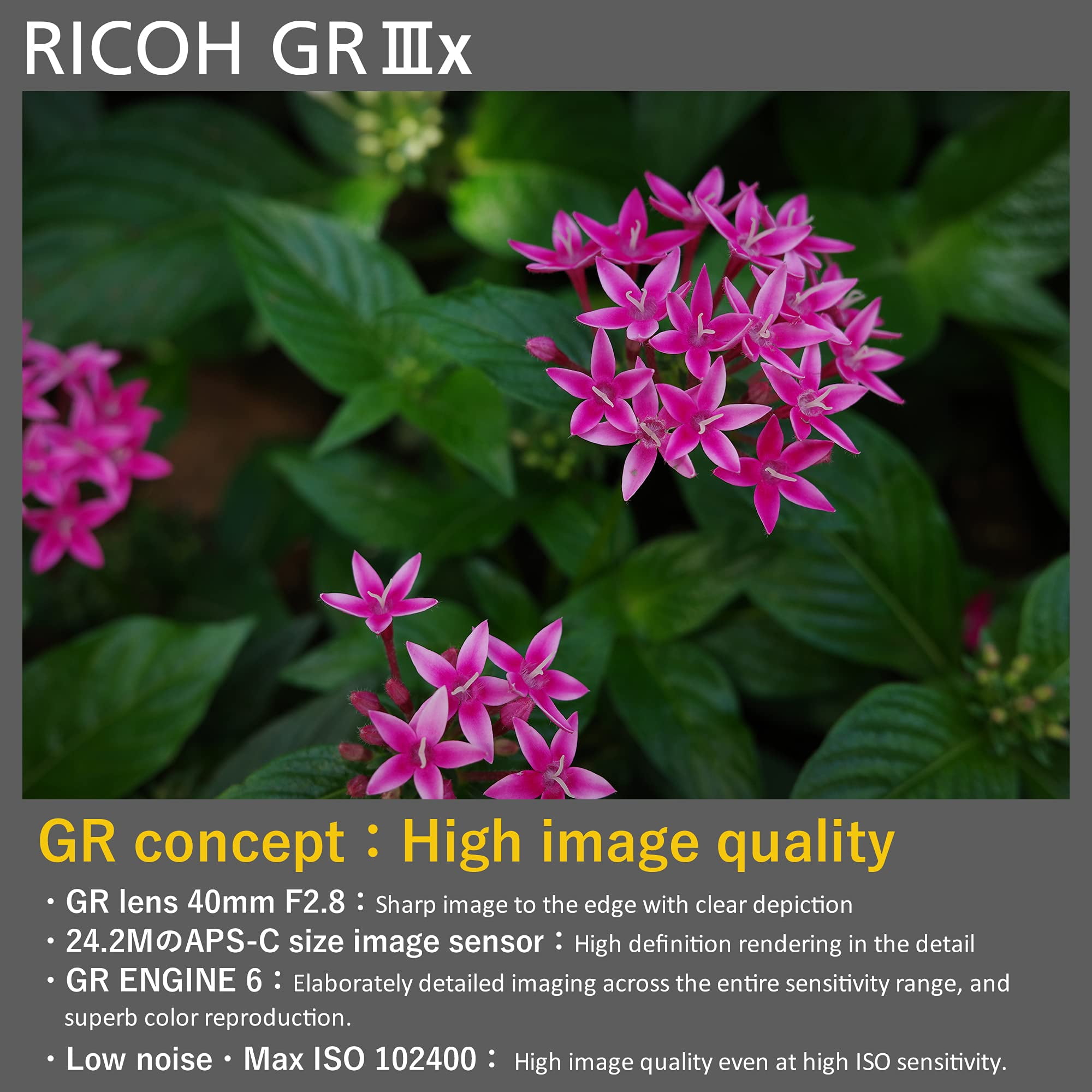  Ricoh GR IIIx, Black, Digital Compact Camera with 24MP APS-C  Size CMOS Sensor, 40mmF2.8 GR Lens (in The 35mm Format) : Electronics