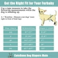 thumbnail image 3 of CuteBone Male Dog Diapers (3 Pack), High Absorbing Dog Belly Bands for Male Dogs, Washable Reusable Dog Male Wraps, 3 of 7