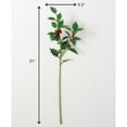 thumbnail image 2 of Sullivans Holly Artificial Stem 31"H Green, 2 of 2