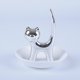 thumbnail image 3 of Plato de cerámica para joyería de plata Xiao Mao, estante de almacenamiento de joyería creativo, plato de almacenamiento de animales galvanizados, plato de gato para joyería de plata, 3 of 5