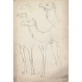 thumbnail image 3 of William Simpson 13x18 Black Modern Framed Museum Art Print Titled - Studies of Camels, Lahore, 17 February 1860 (1860), 3 of 5