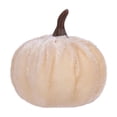 thumbnail image 2 of Assorted Velvet Artificial Pumpkins Set, Fall & Thanksgiving Farmhouse Table Decor, Soft Fabric Pumpkins for Mantel Tray Shelf Cloche Indoor Home Halloween Centerpiece, 2 of 9