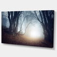 thumbnail image 2 of Arbres Magiques dans une Forêt Mystérieuse - Art Mural Moderne sur Toile de Forêt, 2 of 3