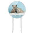 thumbnail image 1 of Acrylic Ragdoll and Tiffany Kitten Cat Friends Cake Topper Party Decoration for Wedding Anniversary Birthday Graduation, 1 of 7