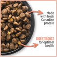 thumbnail image 3 of Nutrience Care® Sensitive Skin & Stomach Adult Cat Food, 3 of 5