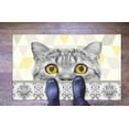 thumbnail image 5 of Cute Cat Rug, Funny Cat Rugs, Animal Rugs, Cat Lower Gift Rug,Accent Rug, Thick Rug, Stair Rug, Anti-Slip Carpet, Bathroom Rug, Entryway Rug, 2.6'x5' - 80x150 cm, 5 of 8