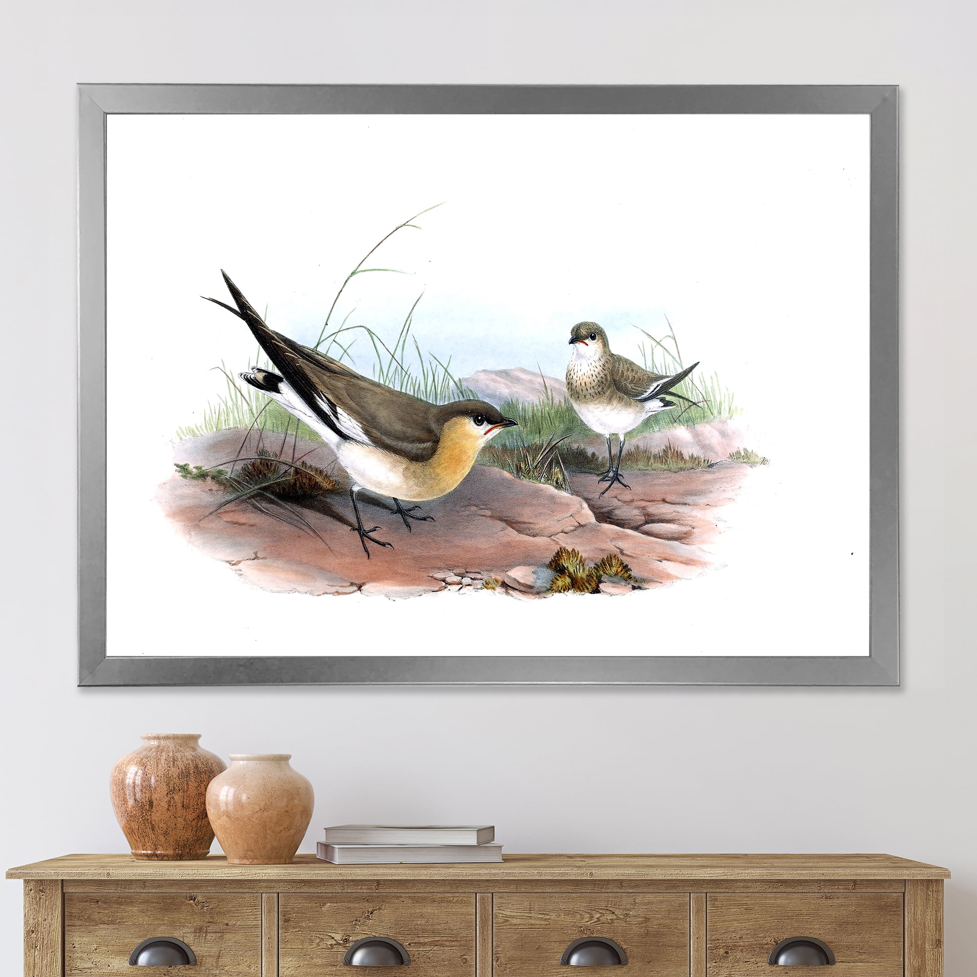 Designart 'Ancient Bird Illustration II' Farmhouse Framed Art Print