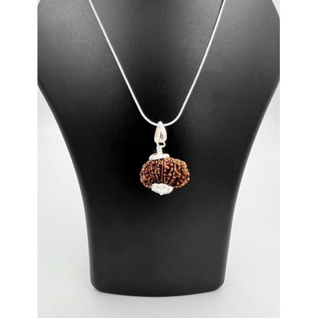 Navratan Gems 12 Mukhi Nepali Rudraksha Pendant with 925 Sterling Silver Chain – Divine Sun Blessings & Energy Shield Necklace