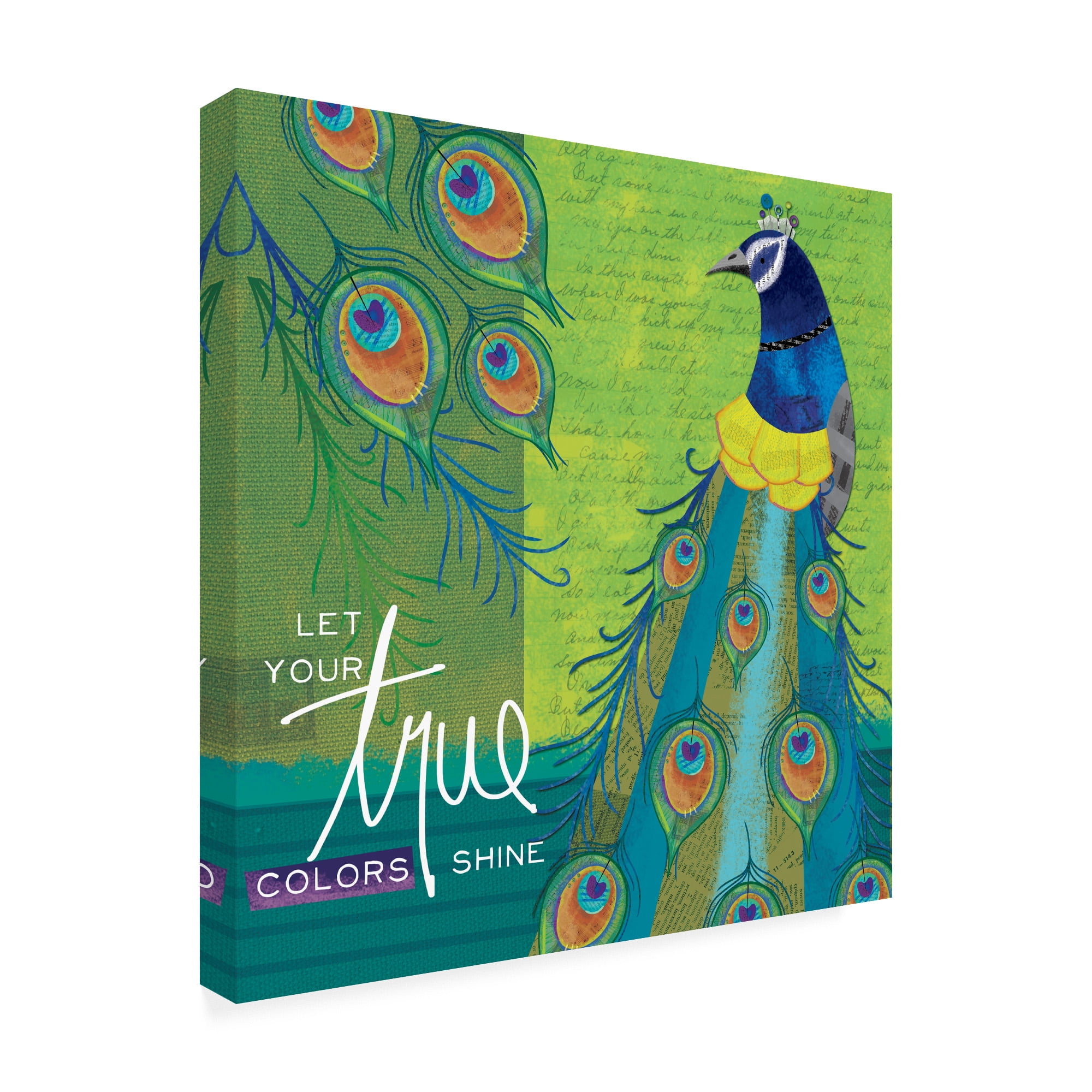 Trademark Fine Art 'Peacocks 3' Canvas Art by Holli Conger