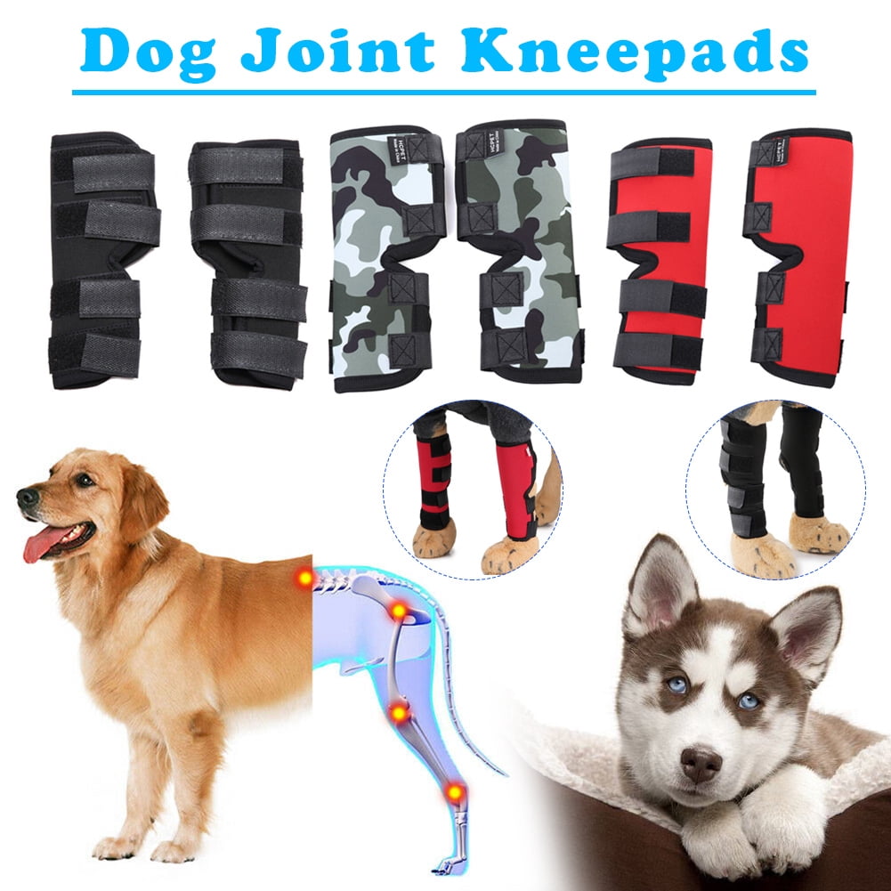 dog knee pads