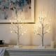 thumbnail image 1 of Set of 2-Vanthylit White Christmas Tree with Lights 2FT Tabletop Birch Tree with 24 Warm White LEDs Battery Operated Light up Twig Tree for Home Party, 1 of 5