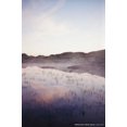 thumbnail image 5 of Cinestil 35Mm 400 Dynamic Color Film (135, 36 Exp) 3-Pack, 5 of 5
