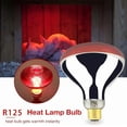thumbnail image 4 of Heat Lamp Bulb R W Painted Infra Glass Bulb for Food Service Brooder Bulb Chicks Pet Bathroom Light Therapy Reptiles and Amphibian Use E Base, 4 of 7