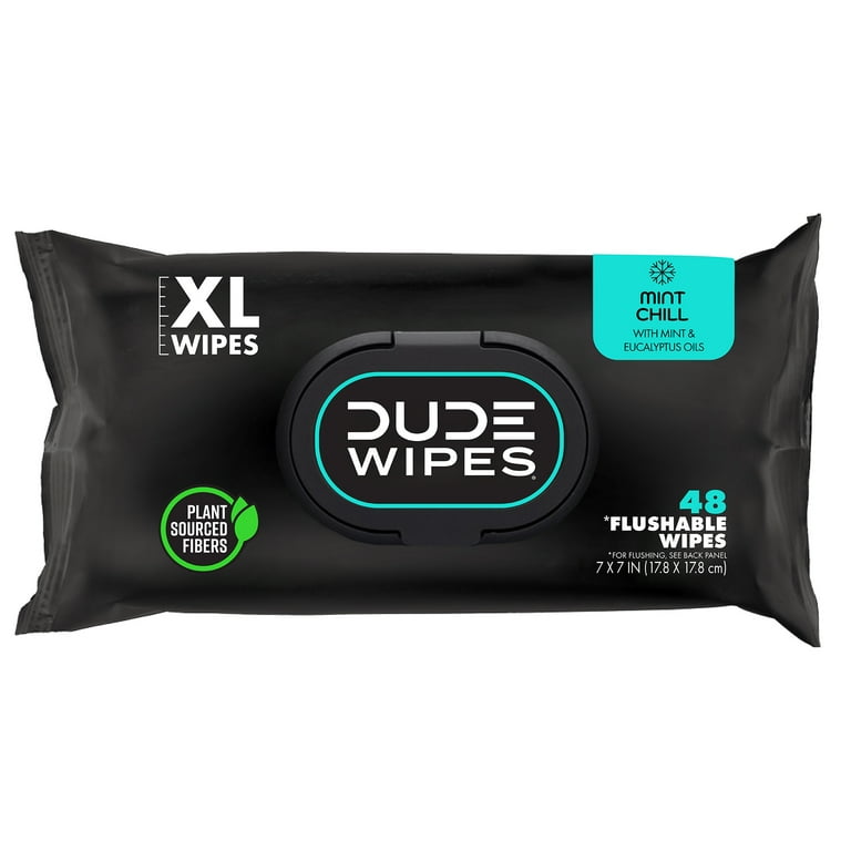 DUDE Flushable Wipes for Men, Mint Chill, 48 Count