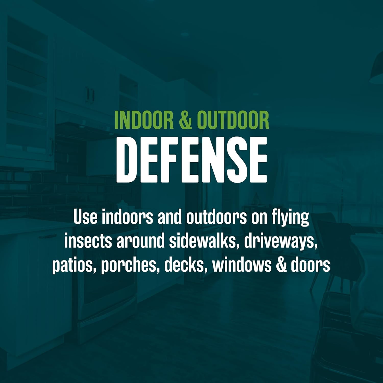 Insect Killer, 14 ounces, a aerosol formula made with corn mint, cinnamon and clove oil
