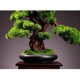 thumbnail image 4 of Planta de simulación for sala de estar, bonsái, plantas verdes de interior, plantas en maceta, árbol falso grande, adornos de decoración de paisaje de escritorio, 4 of 6