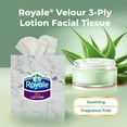 thumbnail image 4 of Royale Velour Lotion, 3 Ply Facial Tissue, 1 Cube Box, 54 Tissues per Box, 54 tissues per pack, 4 of 4