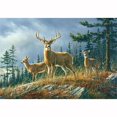 thumbnail image 1 of Brewster Home Fashions DM151 Autumn Whitetail Wall Mural - 144 in., 1 of 1