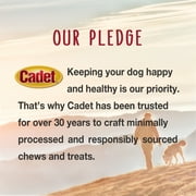 Cadet Gourmet Dog Treats Duck Jerky for Dogs, Training Treats for Small & Large Dogs, 40 Ounce