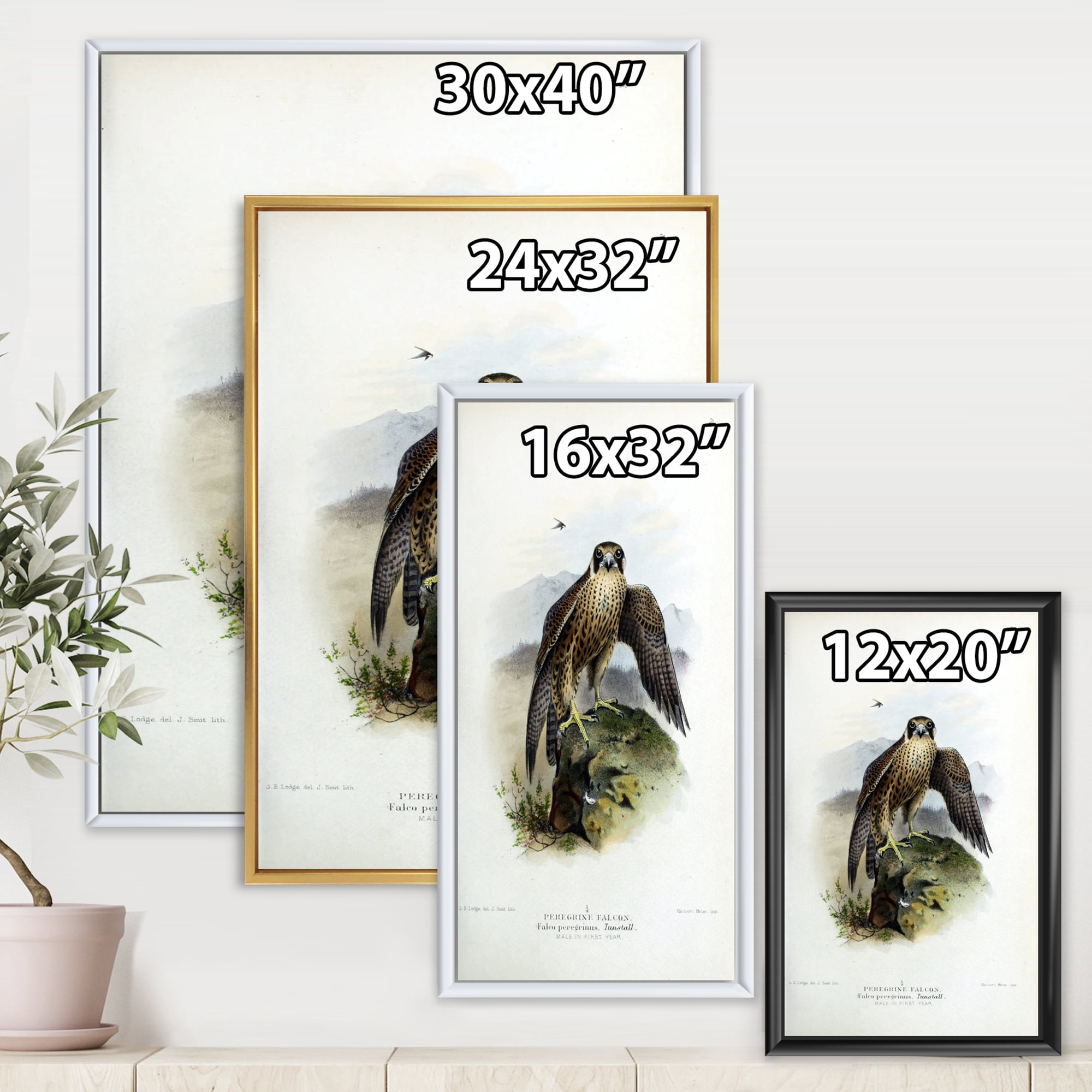 Designart 'Ancient Bird Life VIII' Traditional Framed Canvas Wall Art Print