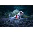 thumbnail image 6 of Dr. Mike's Doggie Doo All Flashlight, 6 of 6