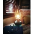 thumbnail image 4 of Lamplight ¼ Gallon (32 oz) Ultra-Pure Lamp Oil Green - Liquid Paraffin Oil for Indoor use, sootless, smokeless and odorless, Emergency kit Green, 4 of 4
