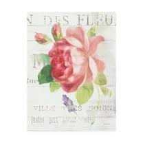 Trademark Fine Art 'Maison des Fleurs VIII' Canvas Art by Danhui Nai