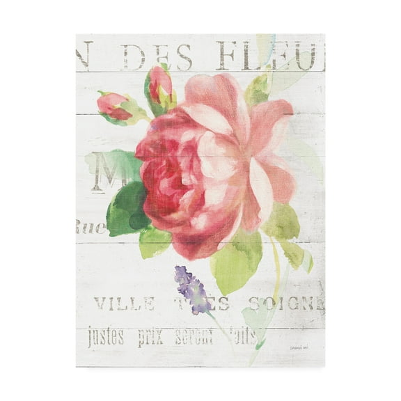 Trademark Fine Art 'Maison des Fleurs VIII' Canvas Art by Danhui Nai