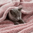 thumbnail image 3 of Exclusivo Mezcla Plush Fuzzy Large Fleece Throw Blanket (50" x 70", Mixed Dusty Pink)- Soft, Warm and Lightweight, 3 of 8