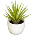 thumbnail image 3 of Nearly Natural Southwest Agave Plant Arrangement, Set of 3, 3 of 11