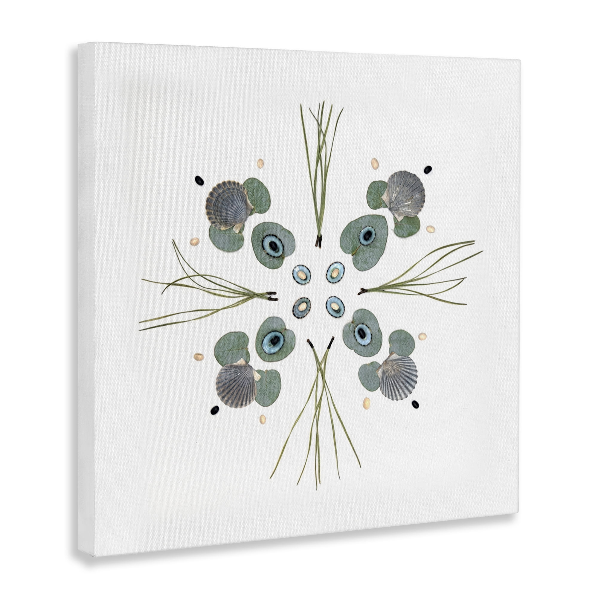 Stupell Industries Seashell & Leaf Symmetry Canvas Wall Art, design by Beth Adoette