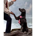 thumbnail image 4 of HAHDAXIA Anti-Pull Dog Harness for Large Dogs, Reflective Soft Padded Dog Harnesses, Adjustable, Breathable Chest Harness with Safe Easy Control Handle, Black, XL, 4 of 6
