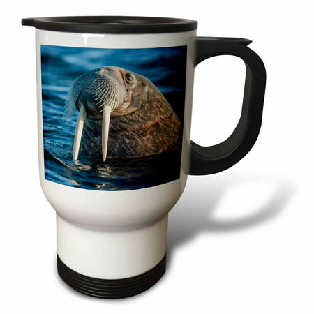 3drose, Norway, Svalbard. Walrus Surfaces in Water., 14oz Stainless Steel Travel Mug