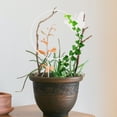 thumbnail image 4 of unbranded Estructura Metálica Para Plantas Trepadoras Ideal Para Patios Y Áreas, 4 of 8