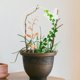 thumbnail image 4 of Houderco Soporte Para Plantas Trepadoras De Jardín Resistente Y Reutilizable En Exterior, 4 of 8