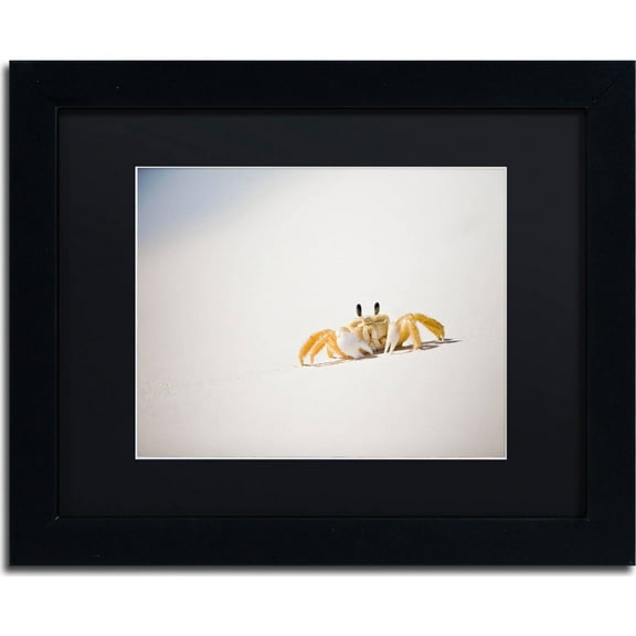 Trademark Fine Art "Ghost Crab 7" Canvas Art by Yale Gurney, Black Matte, Black Frame