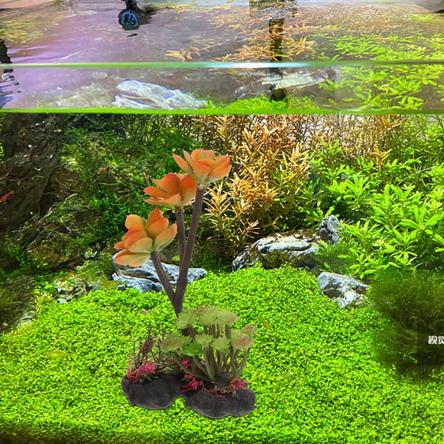 unbranded Para Peceras Con Plásticas Multicolor Para Oficina Y Acuario