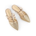 thumbnail image 1 of BLISSFUL STEP Women's Glitter Pointy Toe Flats Mules, 1 of 7