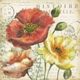 thumbnail image 3 of Tre Sorelle Studios 12x12 Black Modern Framed Museum Art Print Titled - Spice Poppies Histoire Naturelle I, 3 of 5