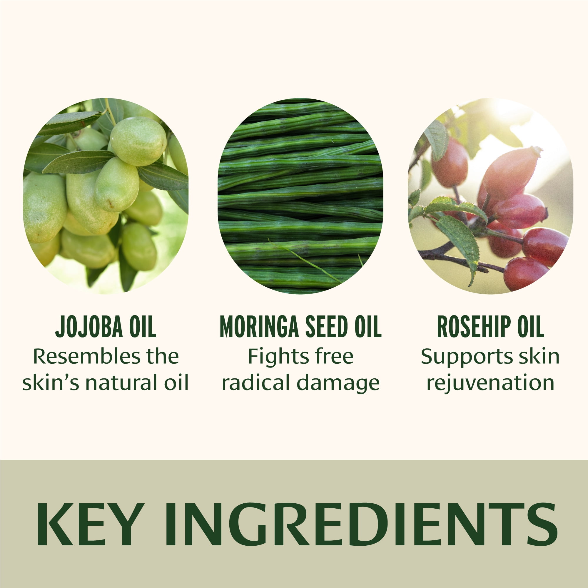 Banyan Botanicals Face Oil – Luxurious Ayurvedic Face Oil – Clean Skincare with Rosehip Oil and Jojoba Oil for Skin that Glows – 0.5 oz – Non-GMO, Cruelty Free, Paraben & Phthalate Free