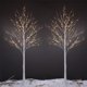 thumbnail image 1 of Birch Tree LIGHTSHARE de 8 pies con 132 luces LED de color blanco cálido, x2, 1 of 9