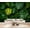 Color 4, variant on Wallpaper Underwater Coral Colorful Fish Sea Creatures Marine Life Peel and Stick Wall Murals 69"H x 96"W Removable PVC Wall Paper Self-Adhesive Wall Paintings Art Decor for Bedroom Living Room